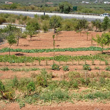 Tatil Evi Sochoro